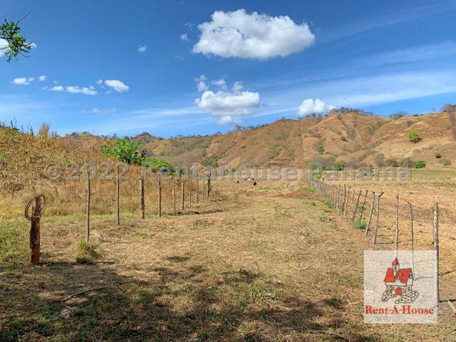 Commercial Property for Sale in Pedasi Los Santos 06065